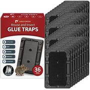 LULUCATCH front packaging showing 36-pack and product benefits