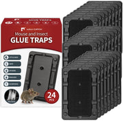 LULUCATCH front packaging showing 24-pack and product benefits