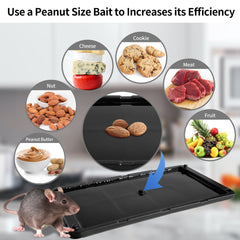 LULUCATCH opened unfolded tray ready to set offering easy setup