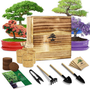 LUOJIBIE wooden box kit open showing organized contents and gift-ready presentation