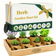 LUOJIBIE wooden planter front view showing organized herb setup and stylish display