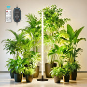 LYCBY2 front view showing full grow light setup and multiple pots benefit consistent lighting