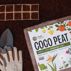 MagJo expanded coco coir texture demonstrating airy structure and root support