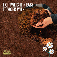 MagJo in-pot seedlings using coco coir for improved aeration and healthier starts