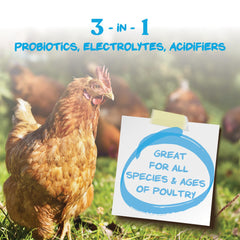 Manna Pro Hydro-Hen powder close-up texture highlighting easy-to-dissolve formula for fast mixing