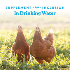 Manna Pro Hydro-Hen next to measuring scoop and gallon jug showing serving yield and compact size