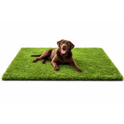 MASSTEELGER front view of grass rug showing natural look and instant green