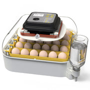 MATICOOPX incubator front view showing compact design and clear lid, easy setup benefit