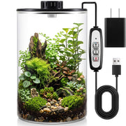Maxdot front view glass terrarium showing clear silhouette and lamp benefit