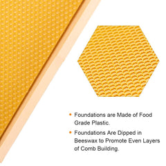 MayBee close-up of beeswax-coated foundation sheet boosting comb building