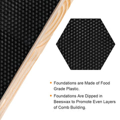 MayBee close-up of beeswax-dipped foundation texture aiding quick comb building