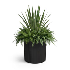 Mayne Haven front view showing modern black planter for stylish curb appeal