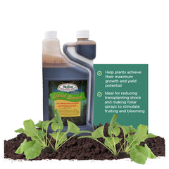 Medina bottle front label showing product identity and quick benefit