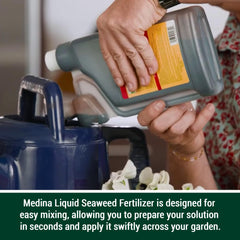 Medina foliar spray on blooms improving flower vitality and color