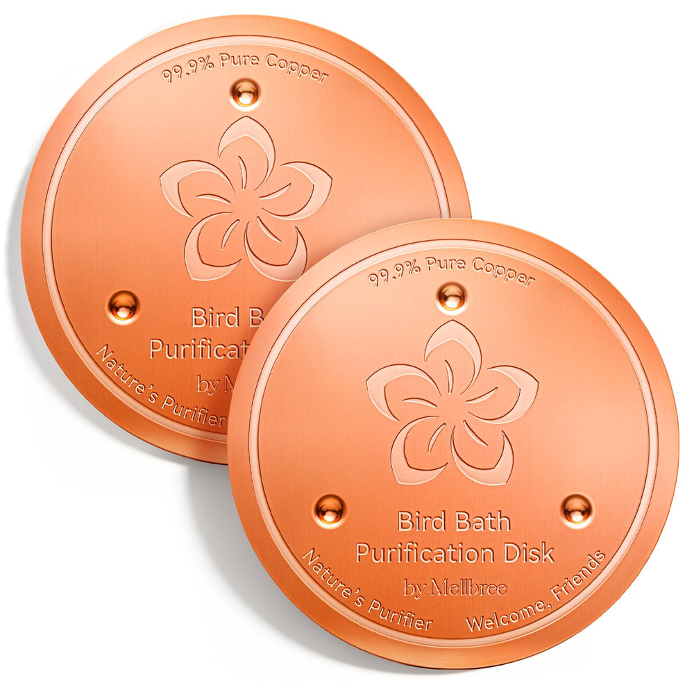 Mellbree front packaging showing two copper discs and benefits