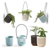 Melphoe front view of six-pack planters showing compact shapes and neutral tones, easy styling benefit