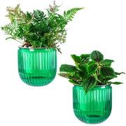 Melphoe front view clear planter shows design and convenience