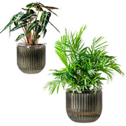 Melphoe front view showing clear dual-layer planters and neat aesthetic benefit