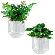 Melphoe front view of two clear self watering planters showing design and benefit