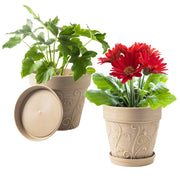 Melphoe front view vine-embossed pot showing elegant decor benefit