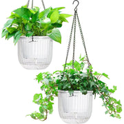 Melphoe front view showing clear pot and sleek shape with easy hanging