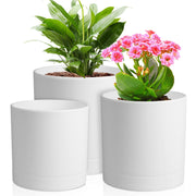 Meowell front view of three pots showing clean modern look and styling benefit