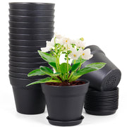 Meowell front view of 16-pack pots showing neat packaging and value
