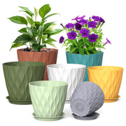 Meowell front view of full 7-pack highlighting color variety and modern look