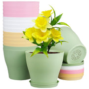 Meowell front view showing 16-pack of 6-inch pots and tidy arrangement benefit
