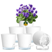 Meowell front view of six white 6-inch pots showing neat display and easy styling