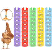 MEWTOGO front packaging showing 100 numbered chicken leg bands and contents