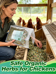 MEWTOGO sprinkled in a nest box to freshen bedding and comfort hens