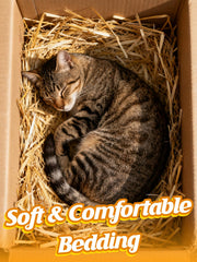 MEWTOGO straw used in a cat shelter providing warmth and cozy bedding