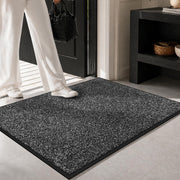 Mibao front view mat at doorstep showing clean entry benefit