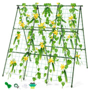 Miory trellis front view showing A-frame stability and vertical space benefit