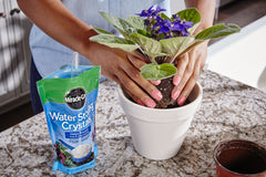 Miracle-Gro swollen crystals with water drop showing charged storage benefit