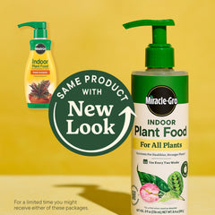 Close-up of Miracle-Gro potting mix texture showing airy soil for healthy roots