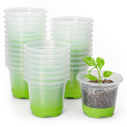 MIXC clear nursery pot front view showing transparent walls and green silicone base benefit visibility