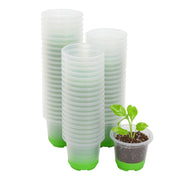 MIXC clear nursery pot front view showing shape and benefit of easy inspection