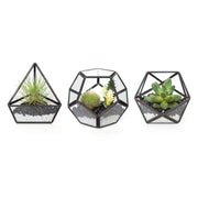 Mkono front view of three geometric terrariums showing modern tabletop styling
