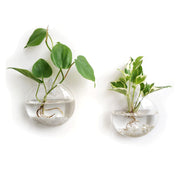 Mkono front view of two hanging planters showing clear glass and oblate shape, elegant display benefit