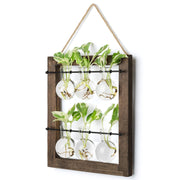 Mkono front view wall hanging propagation station showing elegant display benefit