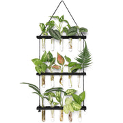 Mkono front view of black 3-tier propagation station showing 15 glass tubes and tidy display benefit
