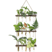 Mkono front view brown wooden frame showing fifteen glass tubes and organized display benefit