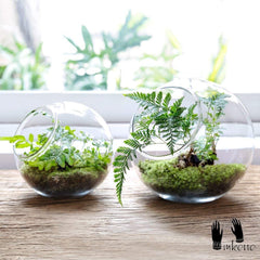 Mkono planter with succulent in use on a desk providing decorative benefit