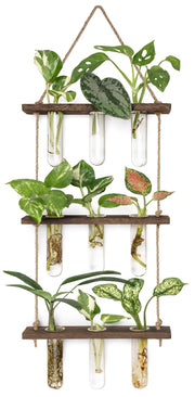 Mkono three-tier front view showing nine tubes and wood frame for tidy propagation