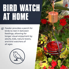 Monarch Abode hanging in garden setting creating peaceful birdwatching atmosphere