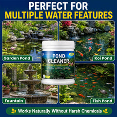 Montorchid before and after pond view showing clearer water, visual improvement benefit