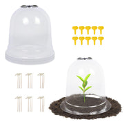 MorTime cloche front view showing full dome and benefits of protection