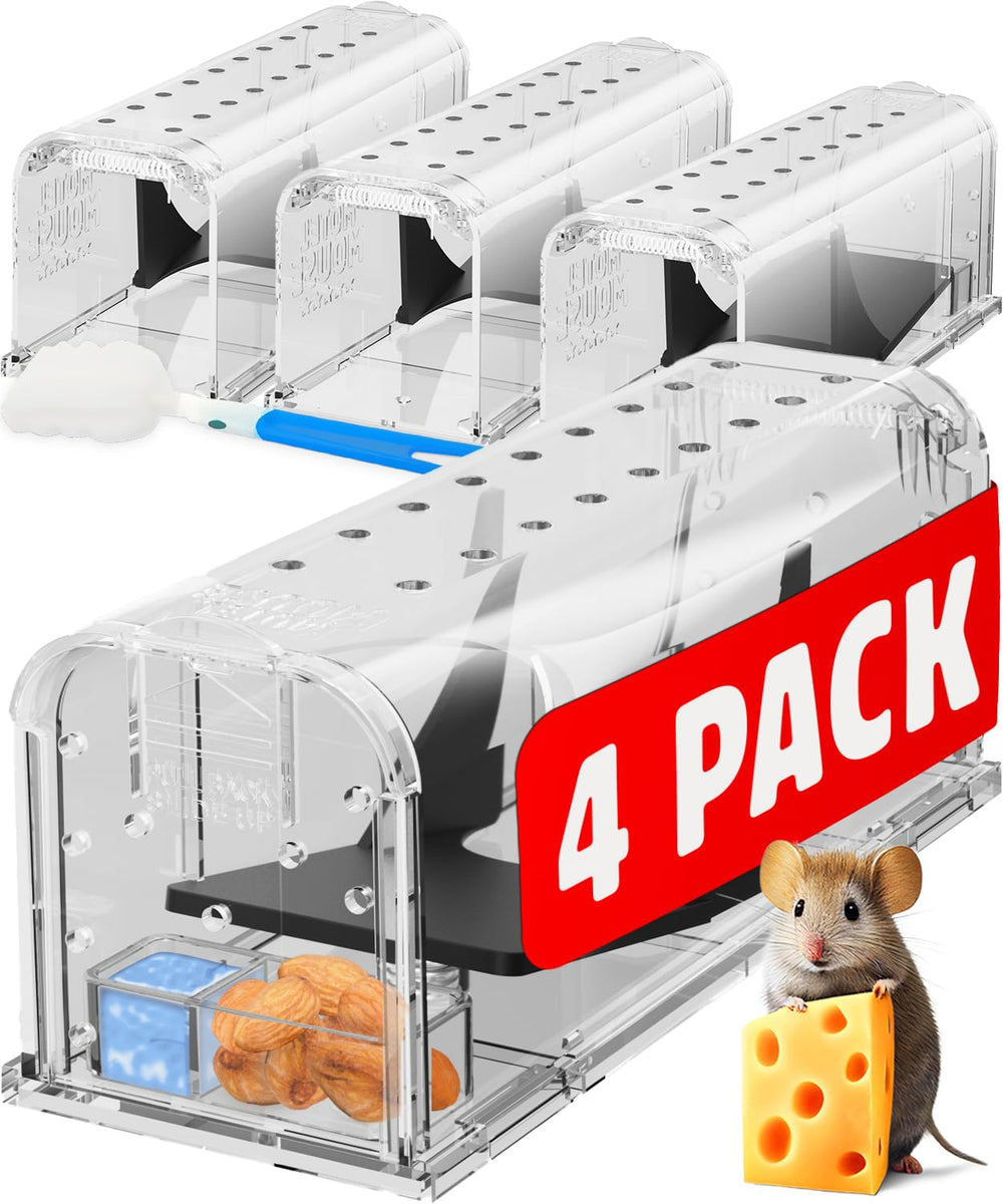 Motel Mouse front view trap showing secure latch and easy setup benefit